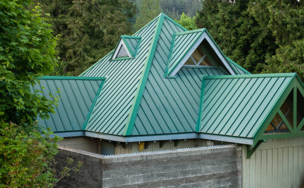 Best Roof Maintenance and Cleaning  in Braddock, PA