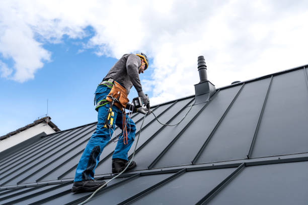 Best Roof Maintenance and Cleaning  in Braddock, PA
