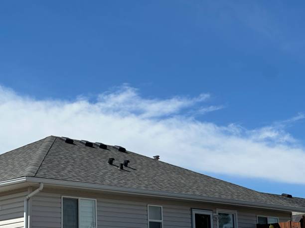 Best Roof Moss and Algae Removal  in Braddock, PA